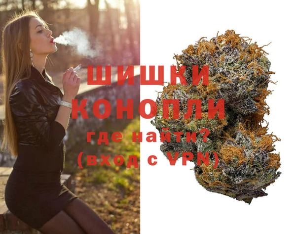 ГАЛЛЮЦИНОГЕННЫЕ ГРИБЫ Белокуриха