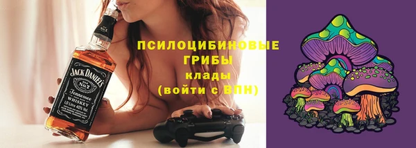 ГАЛЛЮЦИНОГЕННЫЕ ГРИБЫ Белокуриха