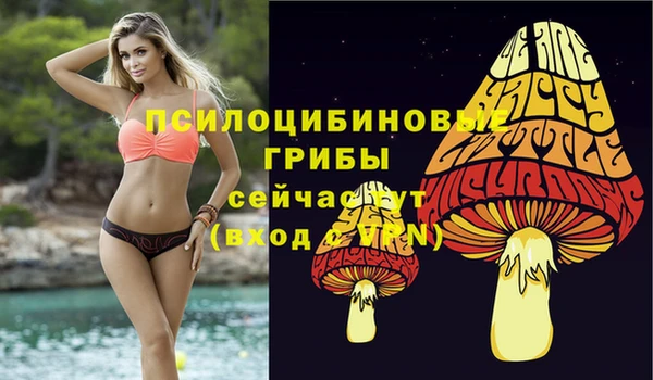 не бодяженный Беломорск
