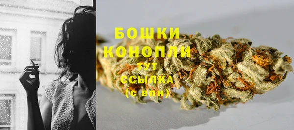 PSILOCYBIN Белоозёрский