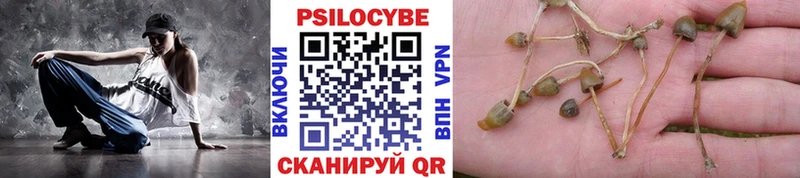 купить наркотики сайты  Липецк  Галлюциногенные грибы Magic Shrooms 