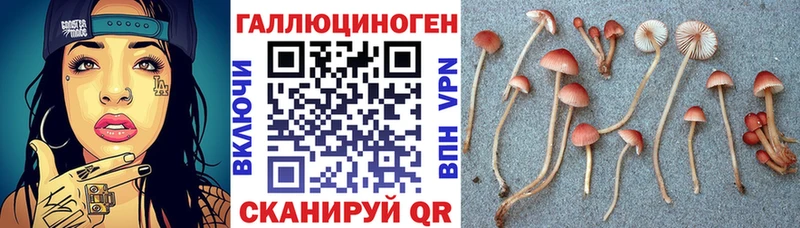 Псилоцибиновые грибы GOLDEN TEACHER Липецк